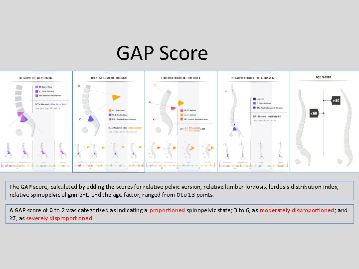 GAP Score The GAP score, calculated by adding the scores for relative pelvic version,