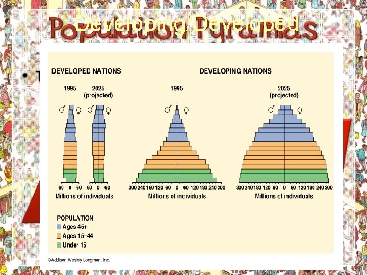 Developing/Developed 