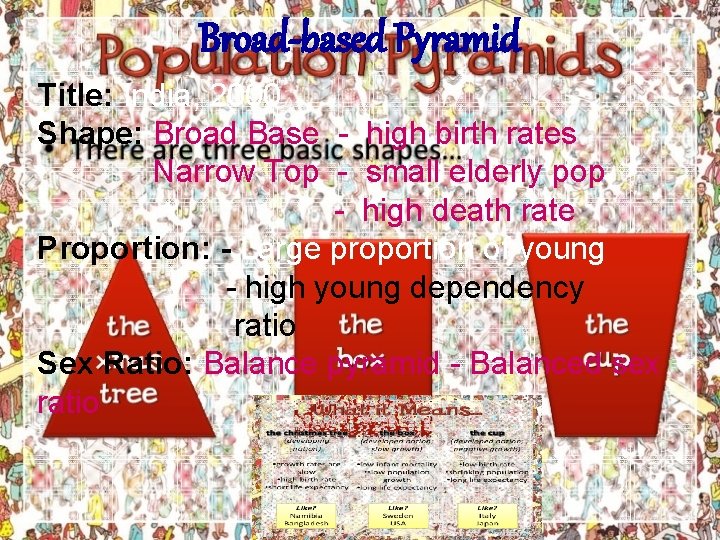 Broad-based Pyramid Title: India, 2000 Shape: Broad Base - high birth rates Narrow Top