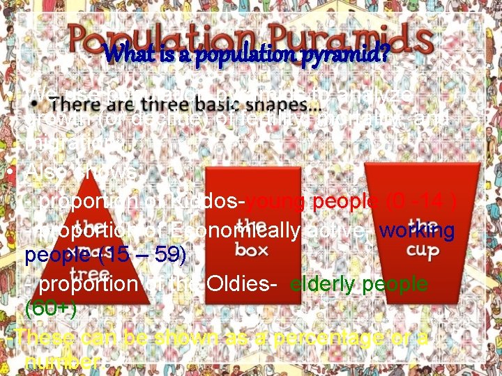 What is a population pyramid? • We use population pyramids to analyze growth (or