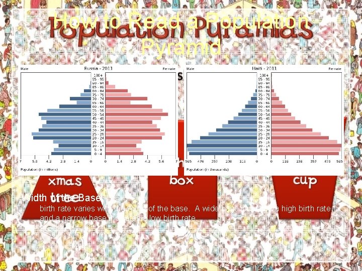 How to Read a Population Pyramid Width of the Base birth rate varies with