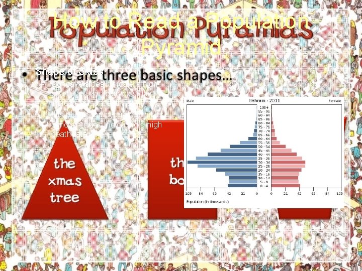 How to Read a Population Pyramid • Shape of Sides – Concave sides indicate