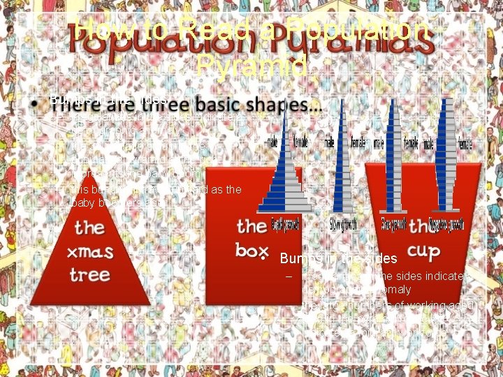 How to Read a Population Pyramid • Bumps in the sides – irregularities in