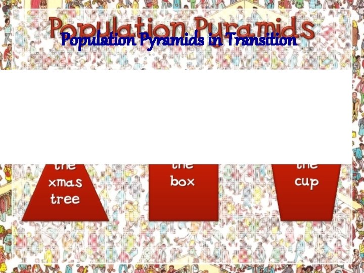 Population Pyramids in Transition 