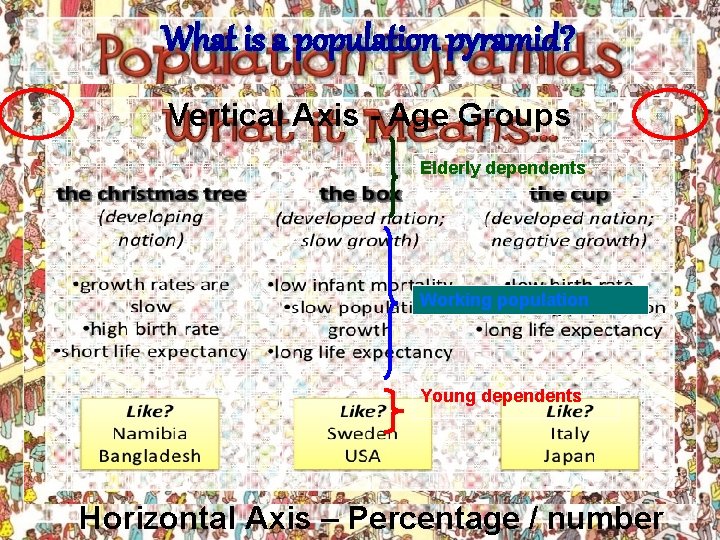 What is a population pyramid? Vertical Axis - Age Groups Elderly dependents Working population