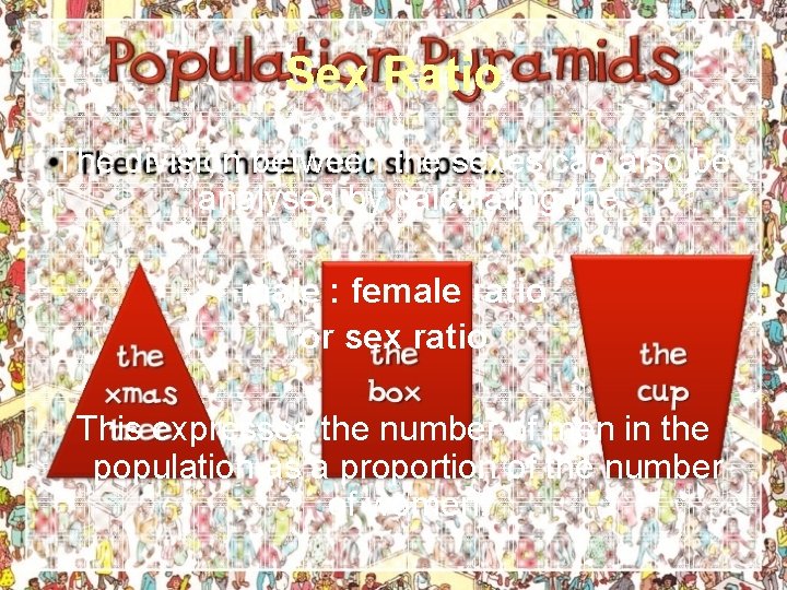 Sex Ratio The division between the sexes can also be analysed by calculating the