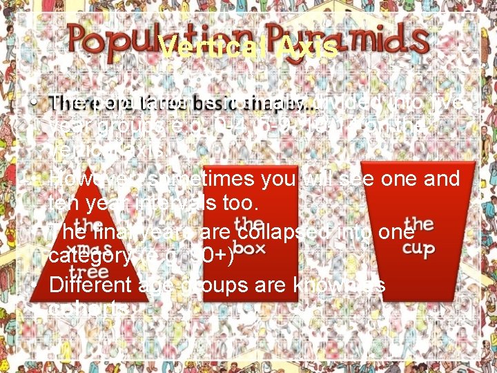 Vertical Axis • The population is normally divided into five year groups e. g.