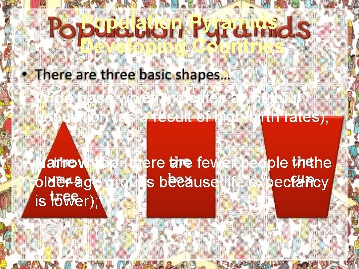 Population Pyramids Developing Countries • Wide base which indicates a youthful population (as a