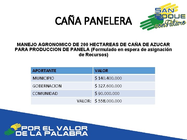 CAÑA PANELERA MANEJO AGRONOMICO DE 200 HECTAREAS DE CAÑA DE AZUCAR PARA PRODUCCION DE