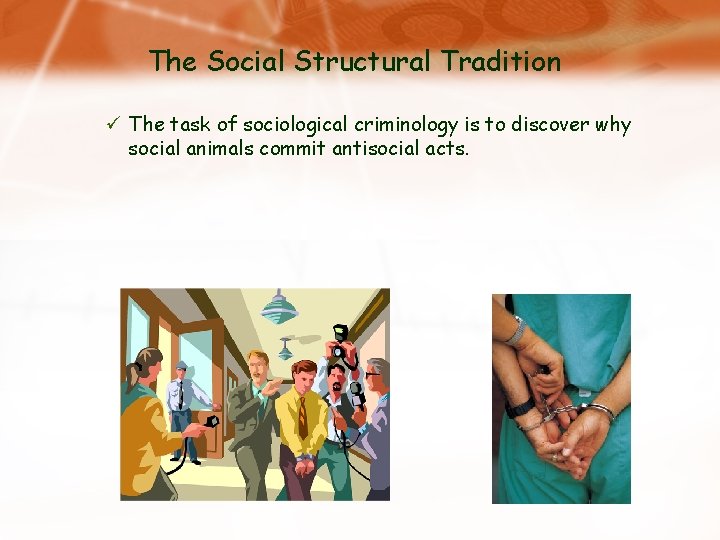 The Social Structural Tradition ü The task of sociological criminology is to discover why