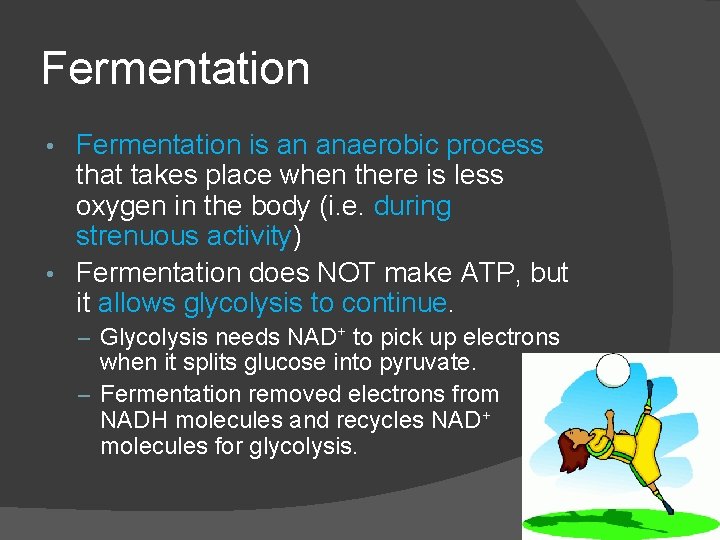 Fermentation is an anaerobic process that takes place when there is less oxygen in