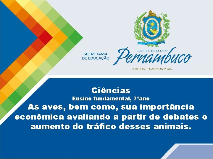 Ciências Ensino fundamental, 7ºano As aves, bem como, sua importância econômica avaliando a partir