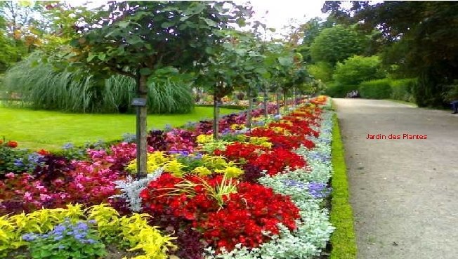 Jardin des Plantes 