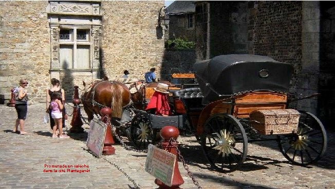 Promenade en calèche dans la cité Plantagenêt 