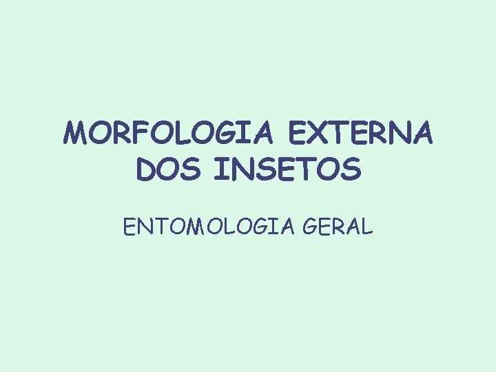 MORFOLOGIA EXTERNA DOS INSETOS ENTOMOLOGIA GERAL MORFOLOGIA EXTERNA DOS INSETOS ENTOMOLOGIA GERAL
