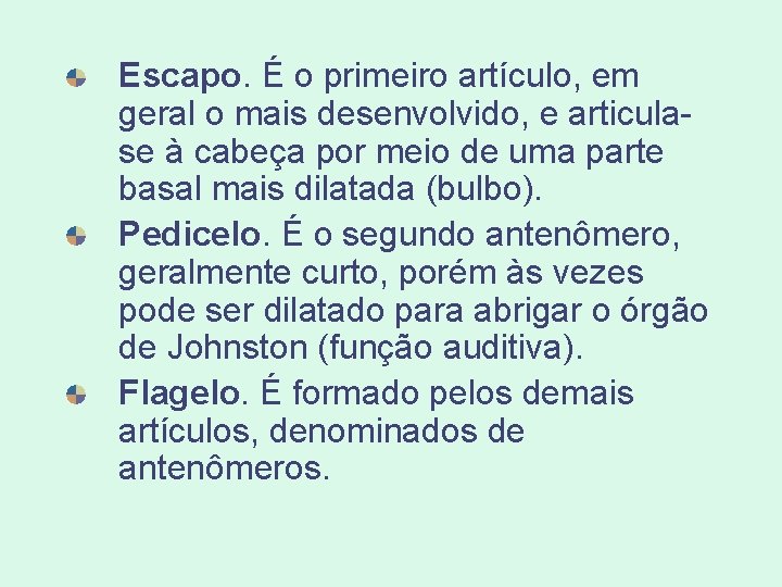 Escapo. É o primeiro artículo, em geral o mais desenvolvido, e articulase à cabeça Escapo. É o primeiro artículo, em geral o mais desenvolvido, e articulase à cabeça