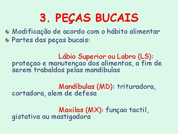 3. PEÇAS BUCAIS Modificação de acordo com o hábito alimentar Partes das peças bucais: 3. PEÇAS BUCAIS Modificação de acordo com o hábito alimentar Partes das peças bucais: