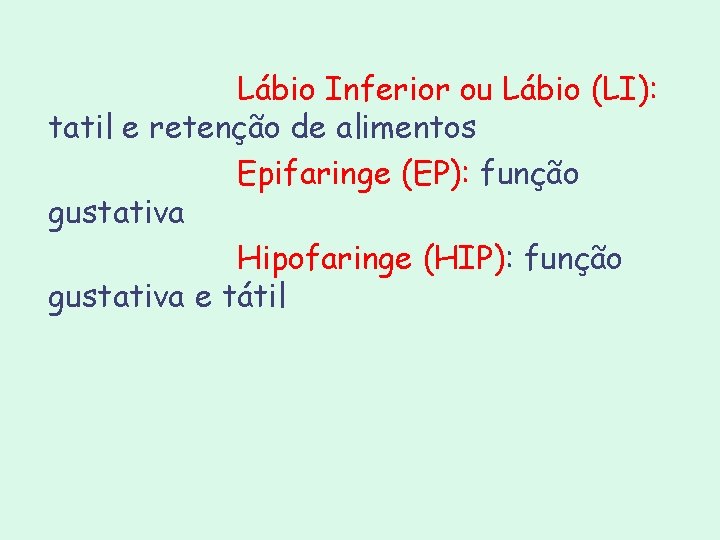 Lábio Inferior ou Lábio (LI): tatil e retenção de alimentos Epifaringe (EP): função gustativa Lábio Inferior ou Lábio (LI): tatil e retenção de alimentos Epifaringe (EP): função gustativa