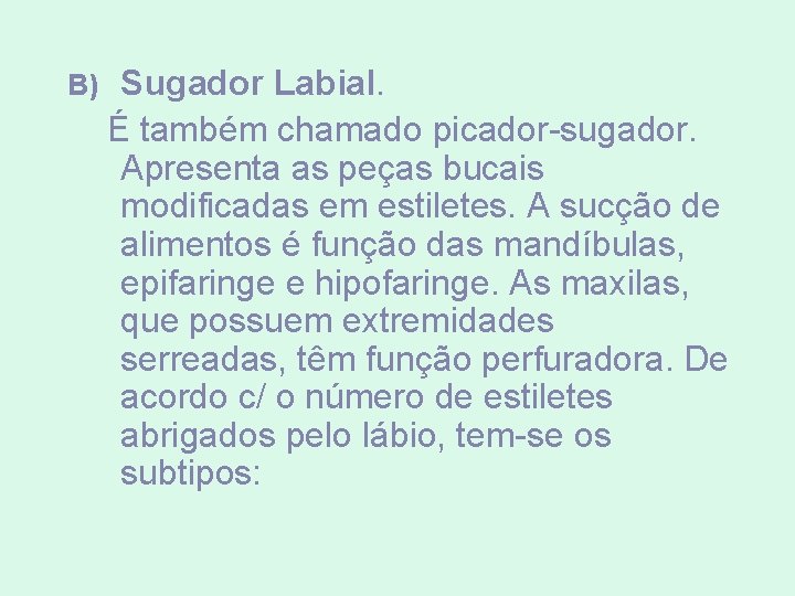 B) Sugador Labial. É também chamado picador-sugador. Apresenta as peças bucais modificadas em estiletes. B) Sugador Labial. É também chamado picador-sugador. Apresenta as peças bucais modificadas em estiletes.