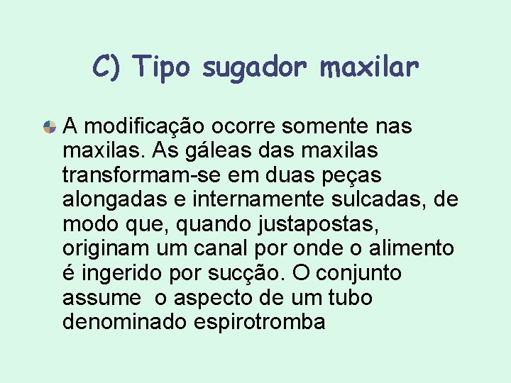 C) Tipo sugador maxilar A modificação ocorre somente nas maxilas. As gáleas das maxilas C) Tipo sugador maxilar A modificação ocorre somente nas maxilas. As gáleas das maxilas