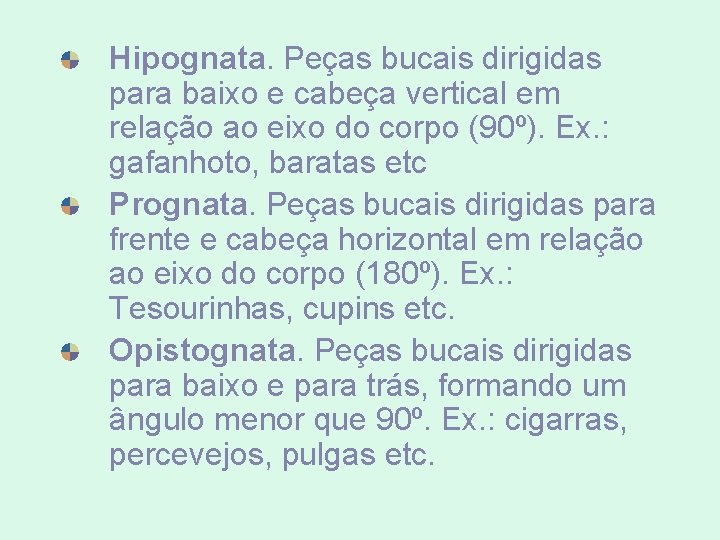 Hipognata. Peças bucais dirigidas para baixo e cabeça vertical em relação ao eixo do Hipognata. Peças bucais dirigidas para baixo e cabeça vertical em relação ao eixo do