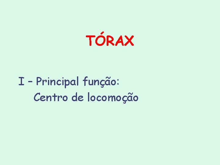 TÓRAX I – Principal função: Centro de locomoção TÓRAX I – Principal função: Centro de locomoção