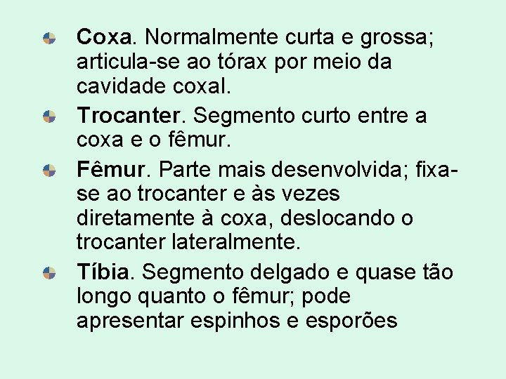 Coxa. Normalmente curta e grossa; articula-se ao tórax por meio da cavidade coxal. Trocanter. Coxa. Normalmente curta e grossa; articula-se ao tórax por meio da cavidade coxal. Trocanter.