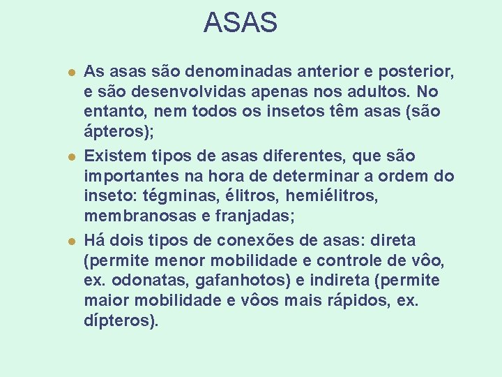 ASAS l l l As asas são denominadas anterior e posterior, e são desenvolvidas ASAS l l l As asas são denominadas anterior e posterior, e são desenvolvidas