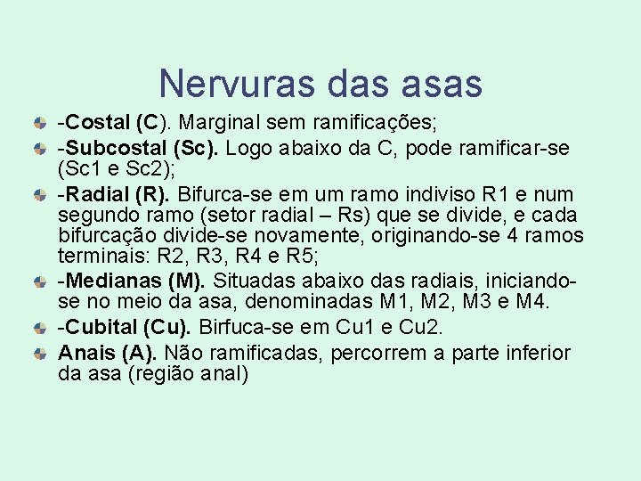 Nervuras das asas -Costal (C). Marginal sem ramificações; -Subcostal (Sc). Logo abaixo da C, Nervuras das asas -Costal (C). Marginal sem ramificações; -Subcostal (Sc). Logo abaixo da C,