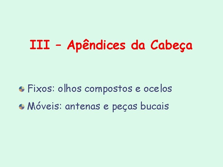 III – Apêndices da Cabeça Fixos: olhos compostos e ocelos Móveis: antenas e peças III – Apêndices da Cabeça Fixos: olhos compostos e ocelos Móveis: antenas e peças