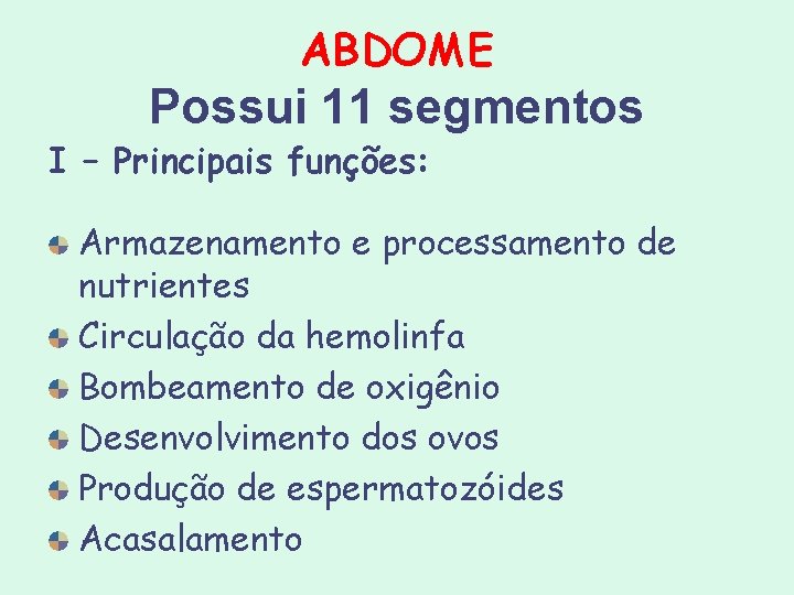 ABDOME Possui 11 segmentos I – Principais funções: Armazenamento e processamento de nutrientes Circulação ABDOME Possui 11 segmentos I – Principais funções: Armazenamento e processamento de nutrientes Circulação