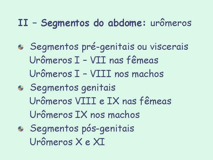 II – Segmentos do abdome: urômeros Segmentos pré-genitais ou viscerais Urômeros I – VII II – Segmentos do abdome: urômeros Segmentos pré-genitais ou viscerais Urômeros I – VII