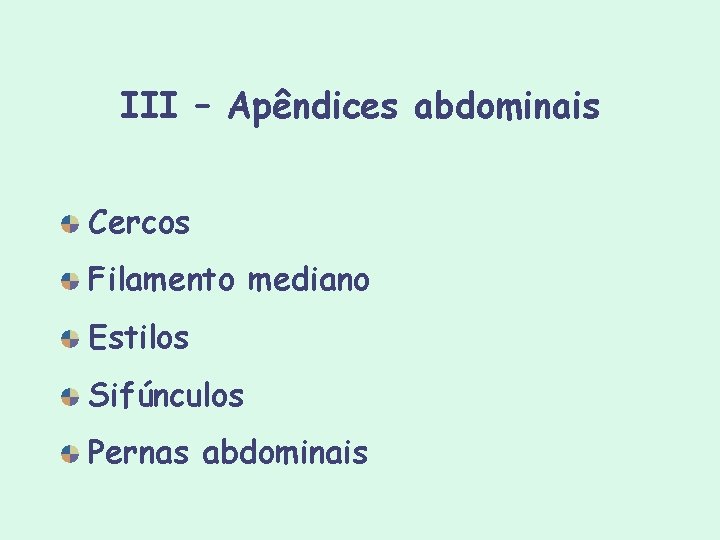 III – Apêndices abdominais Cercos Filamento mediano Estilos Sifúnculos Pernas abdominais III – Apêndices abdominais Cercos Filamento mediano Estilos Sifúnculos Pernas abdominais