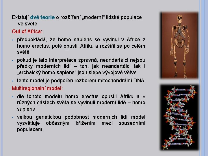 Existují dvě teorie o rozšíření „moderní“ lidské populace ve světě Out of Africa: •