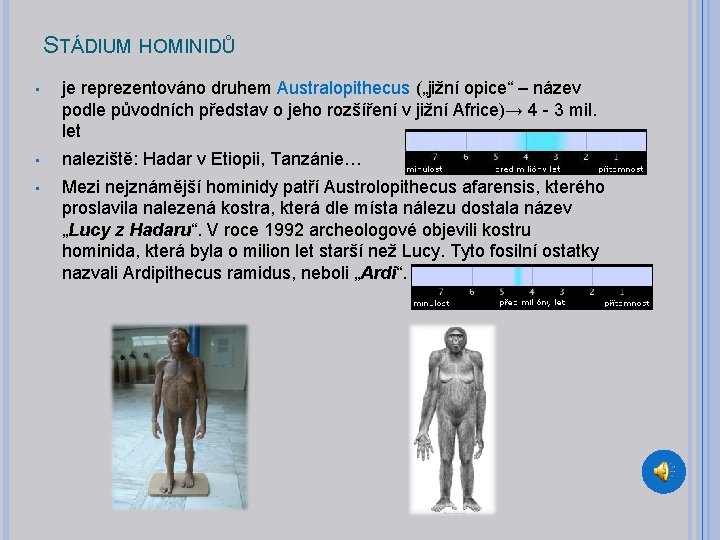 STÁDIUM HOMINIDŮ • je reprezentováno druhem Australopithecus („jižní opice“ – název podle původních představ