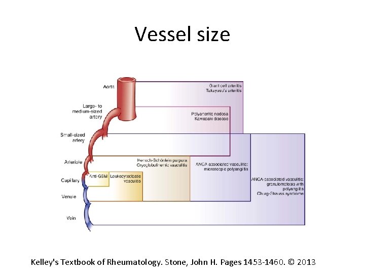 Vessel size Kelley's Textbook of Rheumatology. Stone, John H. Pages 1453‐ 1460. © 2013