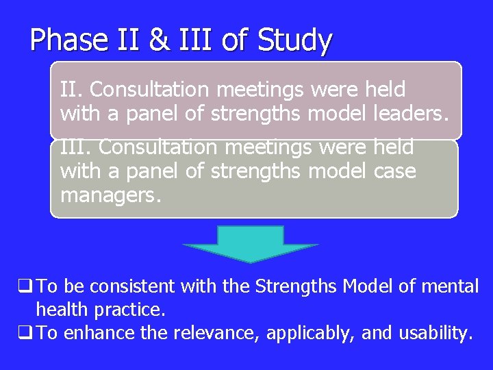 Phase II & III of Study II. Consultation meetings were held with a panel