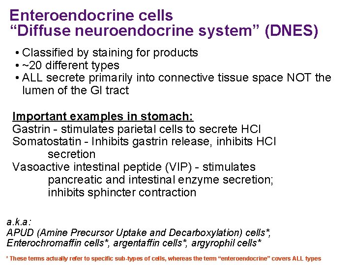 Enteroendocrine cells “Diffuse neuroendocrine system” (DNES) • Classified by staining for products • ~20