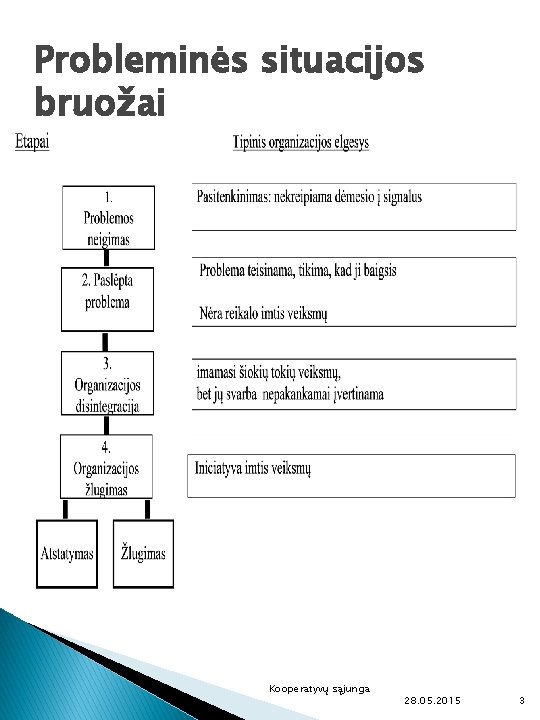 Probleminės situacijos bruožai Kooperatyvų sąjunga 28. 05. 2015 3 