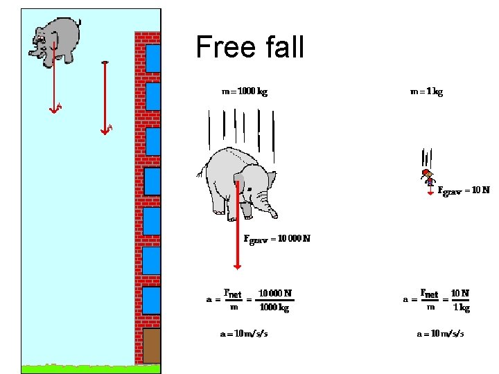 Free fall 