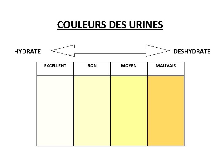 COULEURS DES URINES HYDRATE DESHYDRATE EXCELLENT BON MOYEN MAUVAIS 