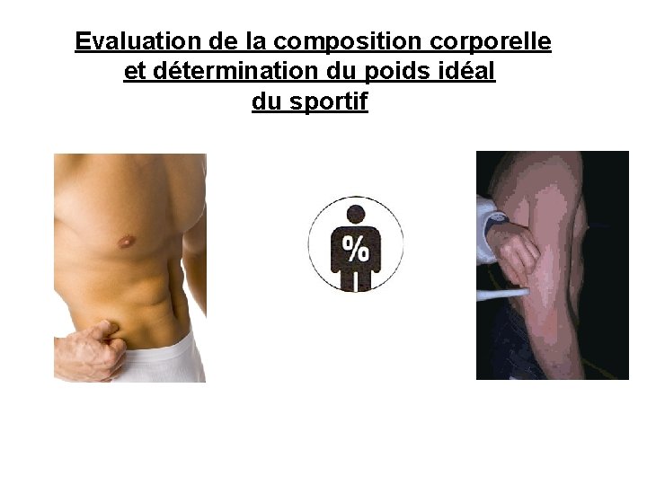  Evaluation de la composition corporelle et détermination du poids idéal du sportif 