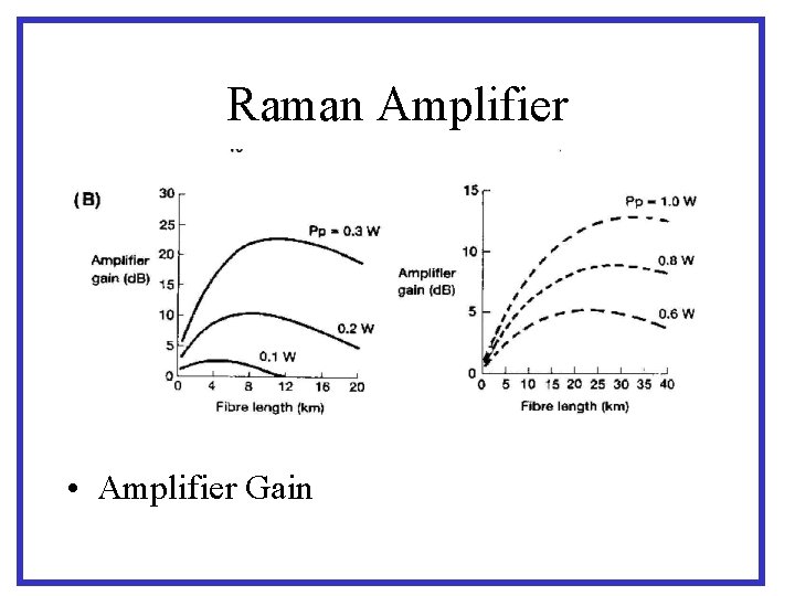 Raman Amplifier • Amplifier Gain 