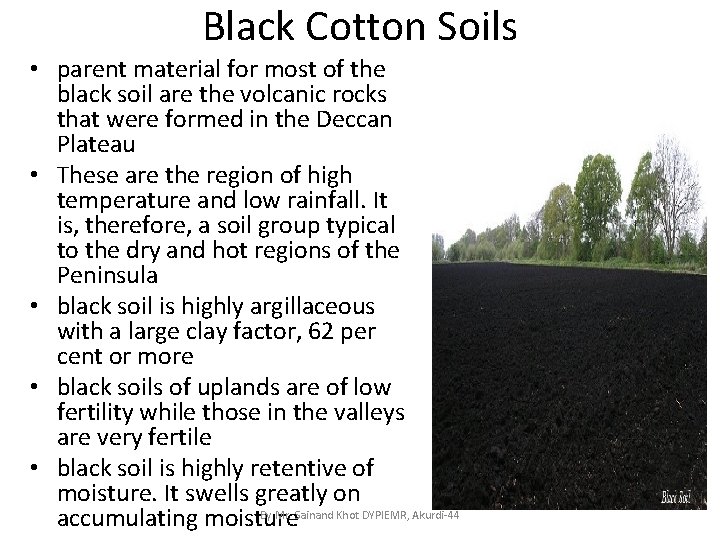 Black Cotton Soils • parent material for most of the black soil are the