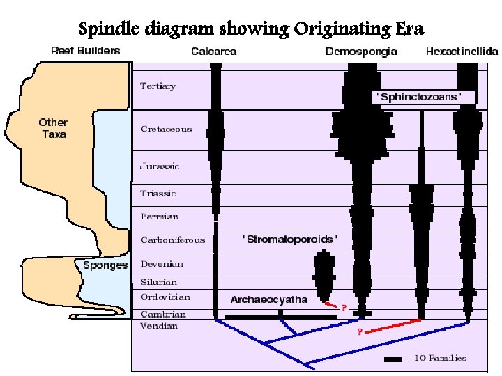 Spindle diagram showing Originating Era Spindle diagram showing Originating Era