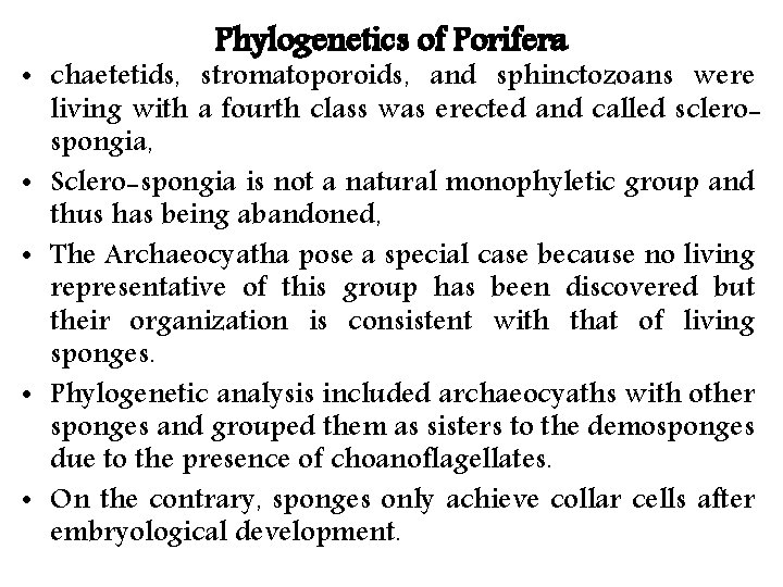Phylogenetics of Porifera • chaetetids, stromatoporoids, and sphinctozoans were living with a fourth class Phylogenetics of Porifera • chaetetids, stromatoporoids, and sphinctozoans were living with a fourth class