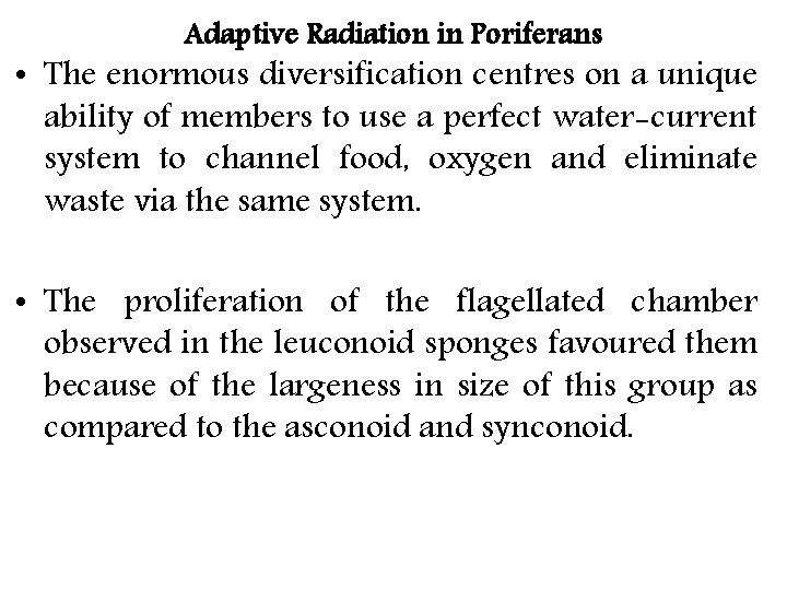 Adaptive Radiation in Poriferans • The enormous diversification centres on a unique ability of Adaptive Radiation in Poriferans • The enormous diversification centres on a unique ability of