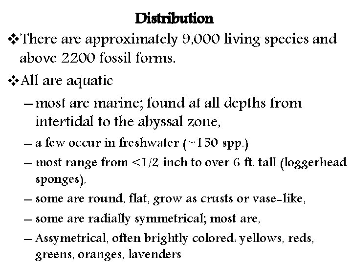 Distribution v. There approximately 9, 000 living species and above 2200 fossil forms. v.