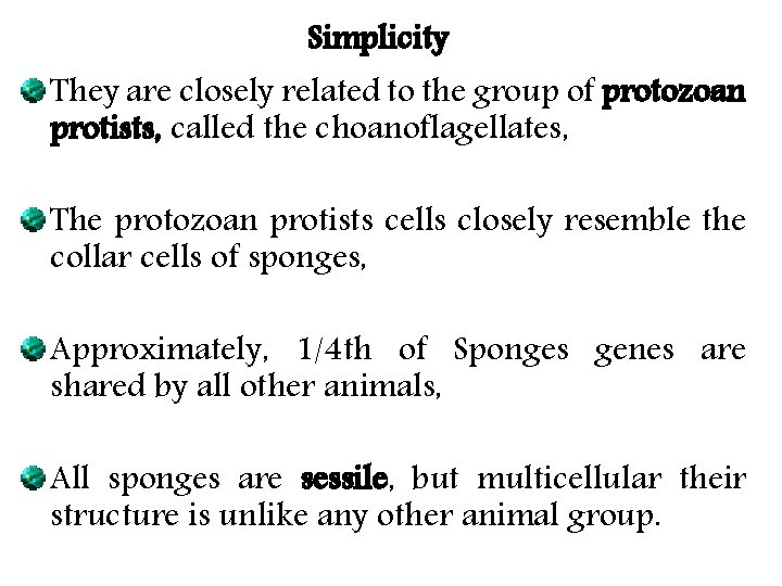 Simplicity They are closely related to the group of protozoan protists, called the choanoflagellates, Simplicity They are closely related to the group of protozoan protists, called the choanoflagellates,