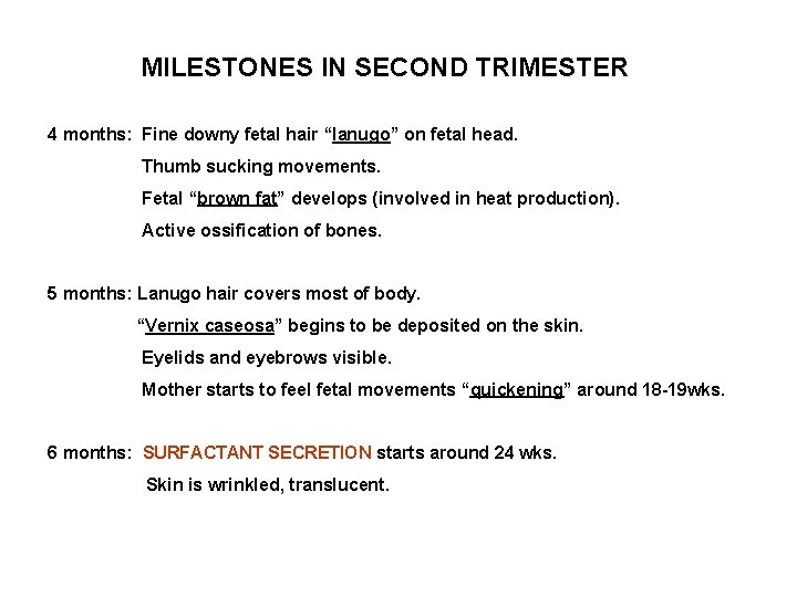 MILESTONES IN SECOND TRIMESTER 4 months: Fine downy fetal hair “lanugo” on fetal head.